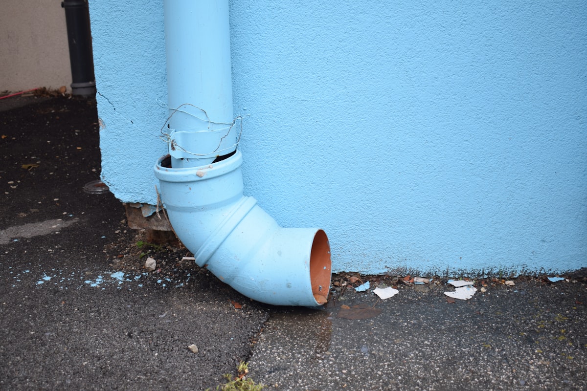 Mold Remediation service in Folsom, CA