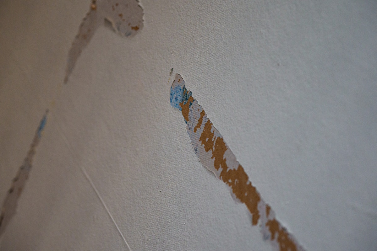 Flood Cleanup service in Folsom, CA